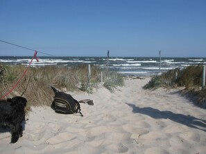 Chaises longues