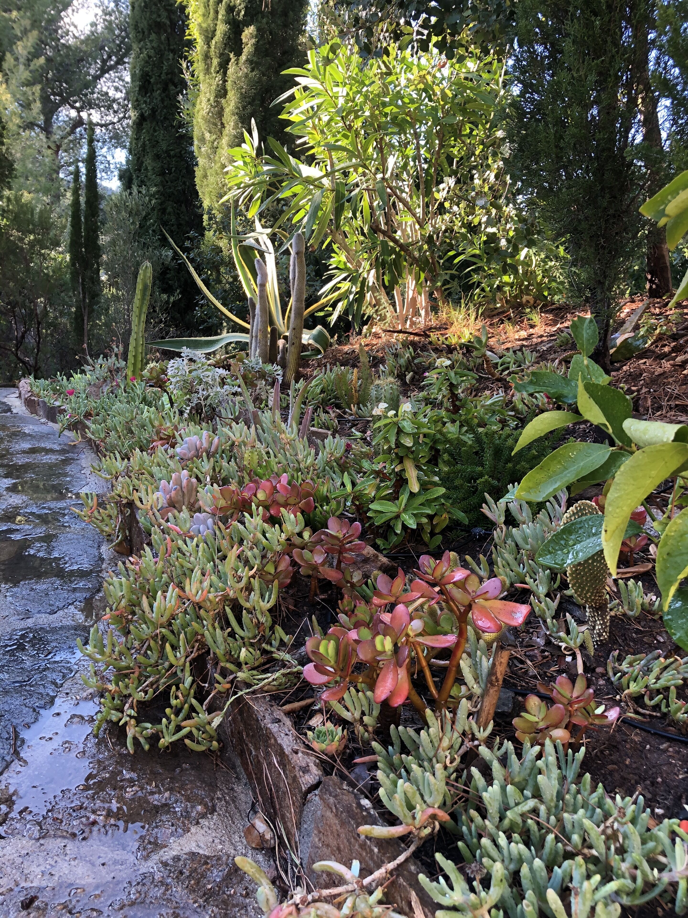 Áreas de la propiedad