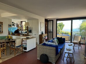 Televisio, takka, videopelejä, DVD-soitin