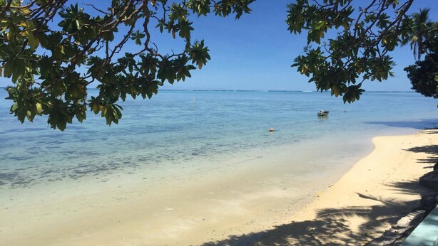 A beach with clear water, a sandy shore, and a tree-lined path.
