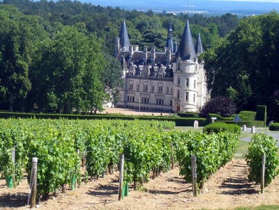 Holidays in Pouilly / Loire overlooking the Loire and the vineyards classified 2 stars 
