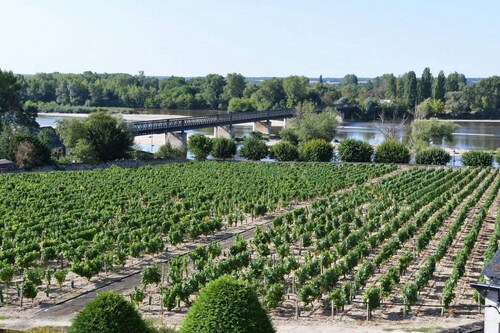 Holidays in Pouilly / Loire overlooking the Loire and the vineyards classified 2 stars 