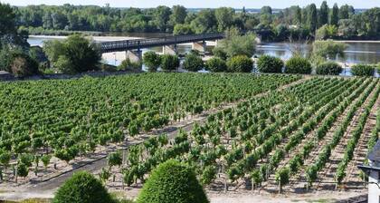 Holidays in Pouilly / Loire overlooking the Loire and the vineyards classified 2 stars