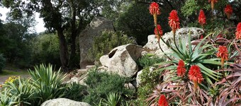 Mini villa studio  cosy climatisée 21 m2 pour 1 couple, piscine