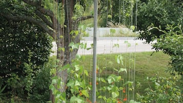 Overnattingsstedets uteomrÄder