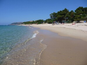 Playa en los alrededores y toallas de playa 