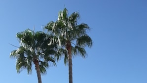 A pool area with two palm trees, white buildings with tiled roofs, and a clear blue sky. - Spacious Villa With Sea And Mountain Views Very Close To The Communal Pool (Nerja)