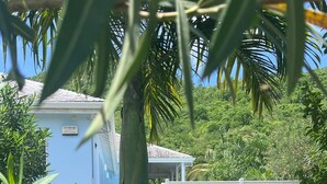 A well-maintained garden with a palm tree, a small building, and a white fence. - Featured in Times Travel 50 Best Caribbean Villas Nov '14 (Hamilton Estate)