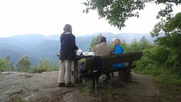 Área da propriedade