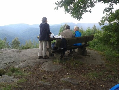 Apartment for non-smokers without dog with garage