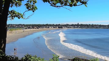 Plage à proximité, chaises longues, serviettes de plage