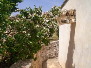 Property grounds - Villa of 4 conical roofs (trullo), fully renovated in big property. Sea view (Ostuni)