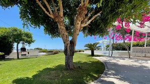 A well-maintained lawn with a tree, a barbecue grill, and a poolside area with white chairs. - Sea Front Villa with Private Pool - Free WiFi (Santa Maria di Leuca)