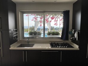 Fridge, microwave, oven, stovetop - Sea Front Villa with Private Pool - Free WiFi (Santa Maria di Leuca)