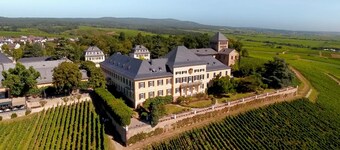 Vacations in the Rheingau Monument near the beach - Hotel Schwan (with charging station)
