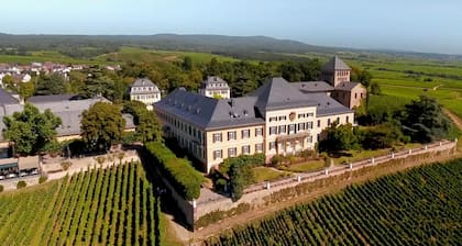 Vacances dans un monument historique - Hotel Schwan