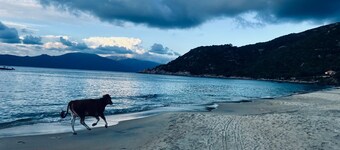 Villa med fantastisk havudsigt, 3/4 soveværelser, 6 minutter fra stranden til fods.