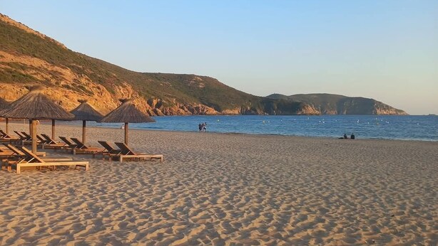 Een strand met ligbedden en parasols, een heldere lucht en een rustige zee.