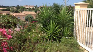 Ein Garten mit verschiedenen Pflanzen und Blumen, ein weißer Zaun und Häuser im Hintergrund.