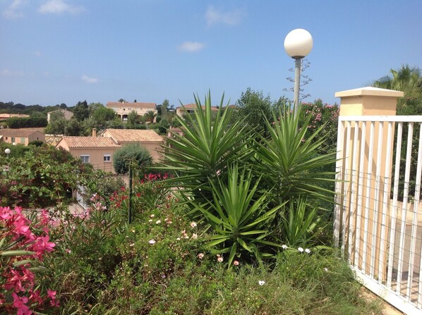 A garden with various plants and flowers, a white fence, and houses in the background.