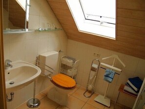 A small, compact bathroom with a skylight, a sink, a toilet, and a shower area.