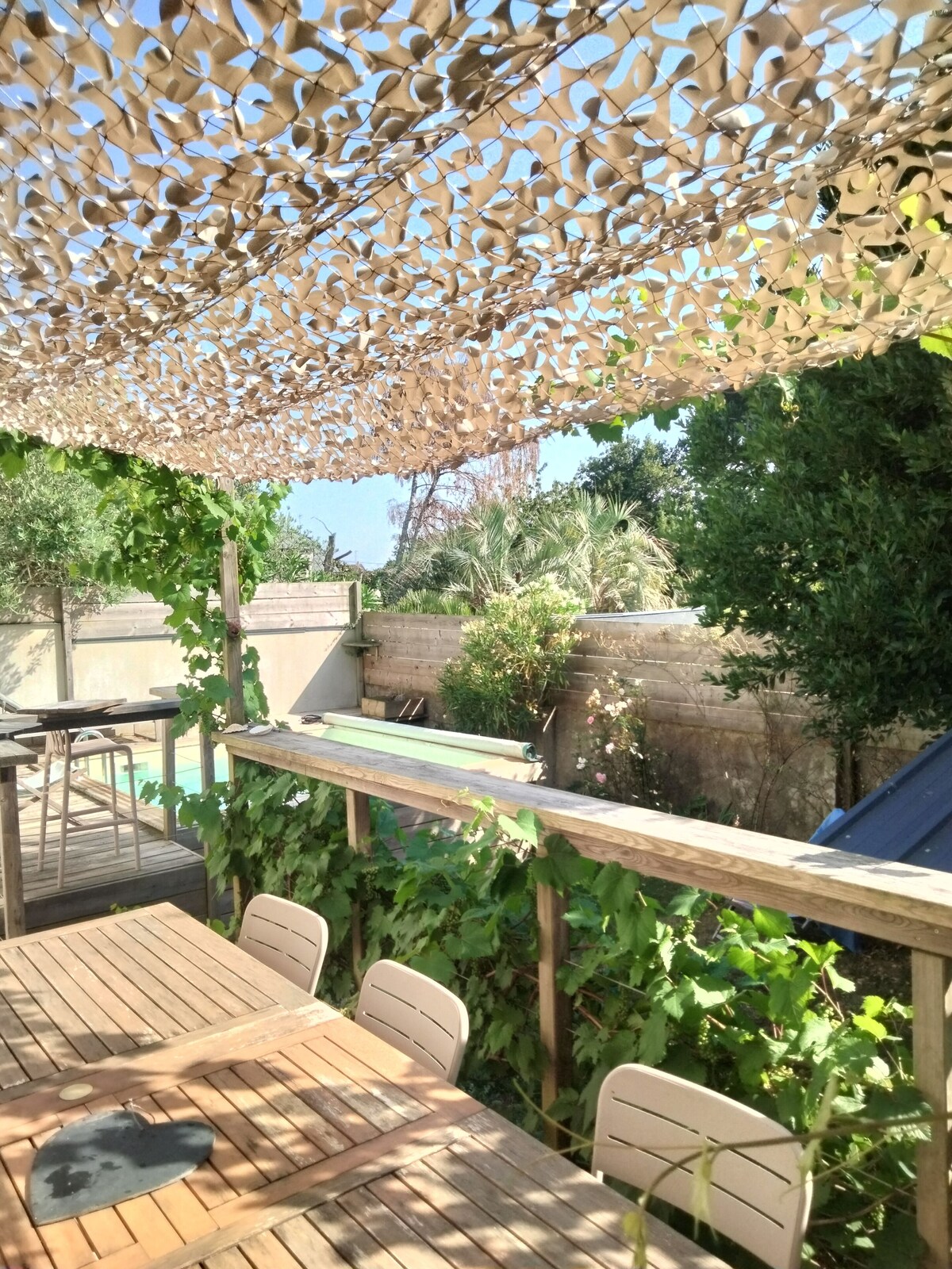 Imagen de perfil del propietario o de la propietaria