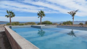 Une piscine rectangulaire bordée de pierres, entourée de palmiers et sous un ciel dégagé.