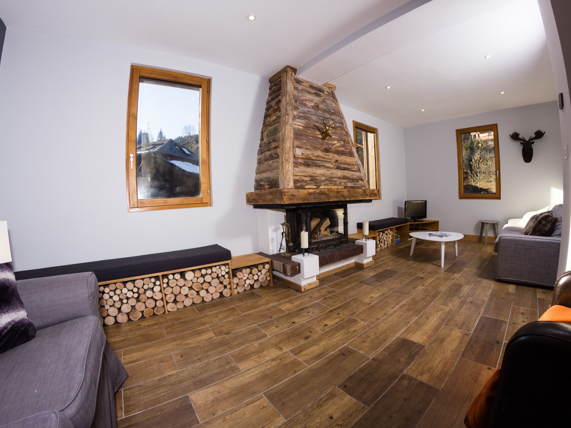 电视、壁炉、DVD 播放器