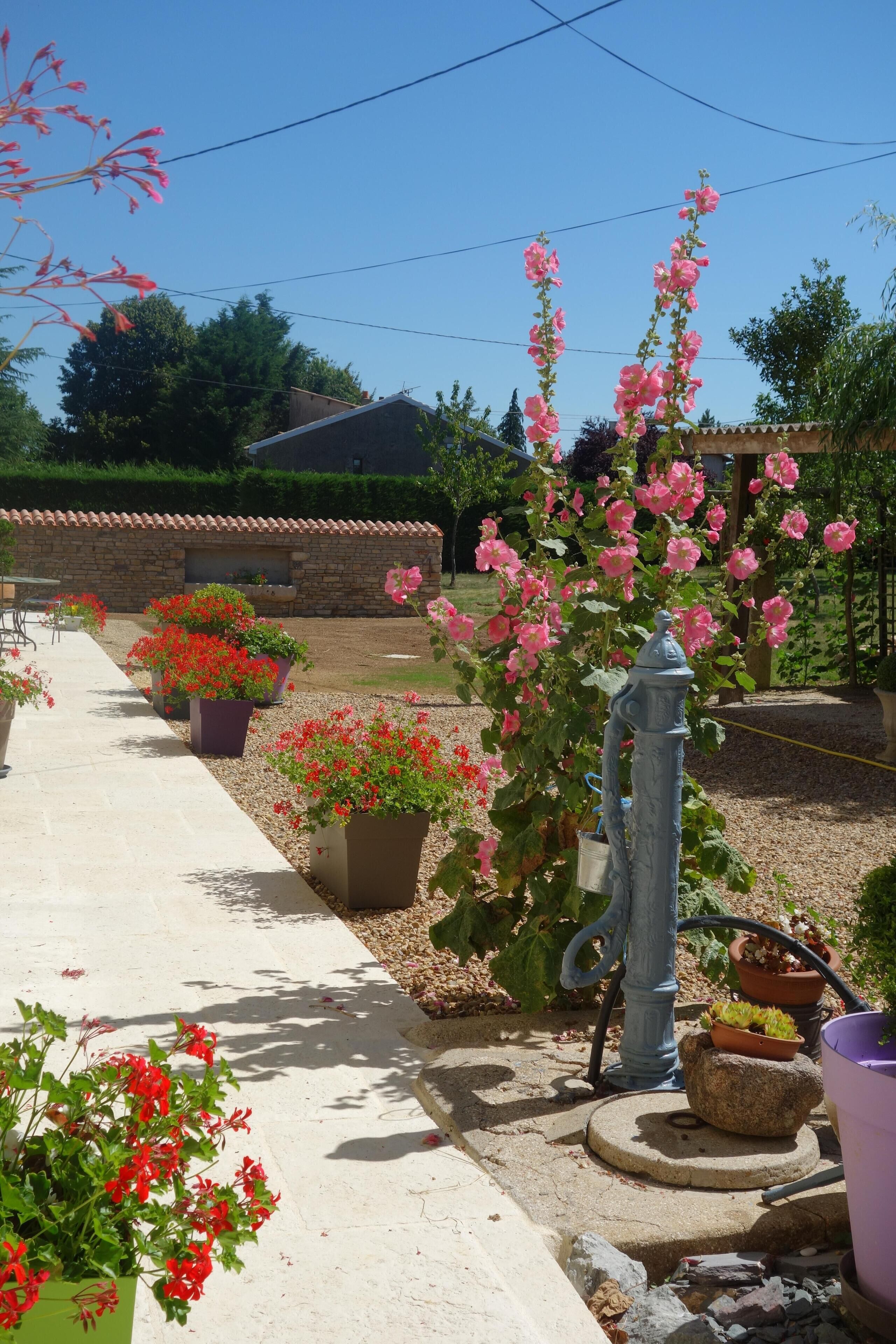 Àrea exterior de l'allotjament