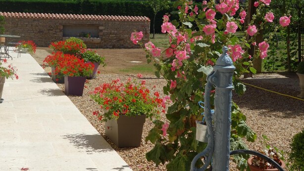 A garden with potted plants and a fire hydrant. - Quiet house between countryside and sea surrounded by green setting (Rouillé)