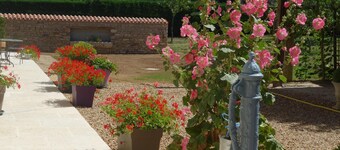 Quiet house between countryside and sea surrounded by green setting