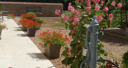 Quiet house between countryside and sea surrounded by green setting