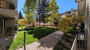 A courtyard with a paved walkway, trees, and outdoor seating.