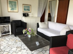 Televisio, takka, DVD-soitin, kirjoja