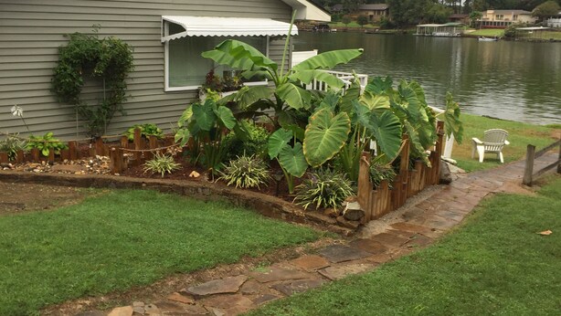 A house with a garden and a lake view. - 'The Captain's Cottage' on Lake Hamilton (Hot Springs)
