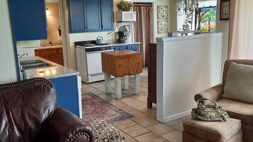 Télévision, cheminée, lecteur de DVD