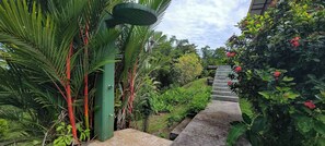 Property grounds - Casa Amarilla -Jungle Home with Ocean Views - as seen in 'Easy Living' magazine! (Cuervito de Pavon)