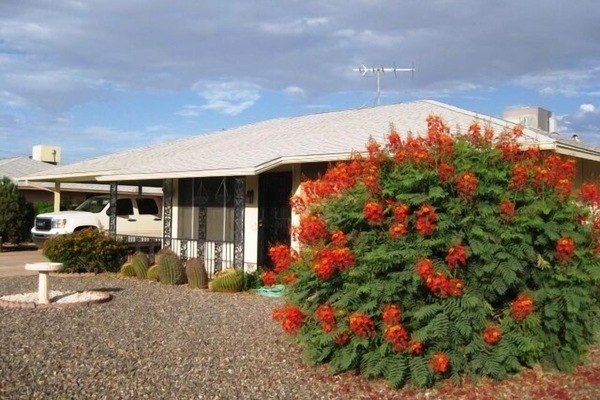 Bright orange bush adds beautiful accent to brick frontage of home.