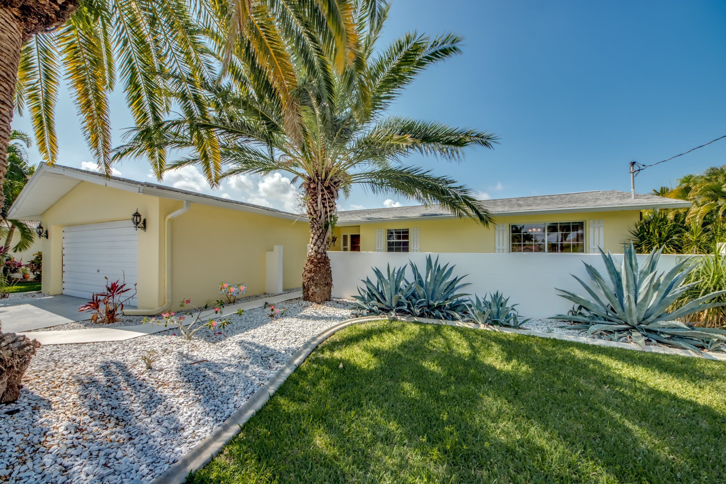 A single-story house with a white garage door, a palm tree in the front yard, and a well-maintained lawn.