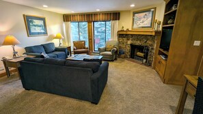 电视、壁炉、DVD 播放器