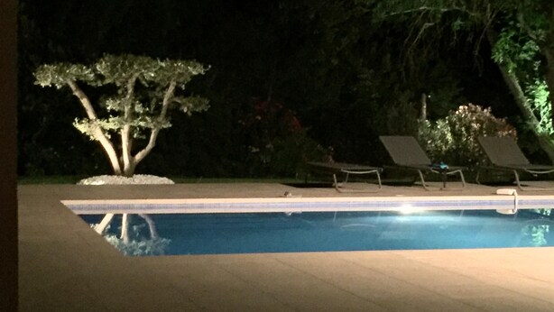 Vista notturna di una piscina con sdraio e un albero.