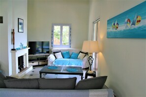 TV, fireplace, video games, DVD player