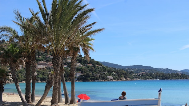 Una playa con un bote, palmeras y un mar azul cristalino.