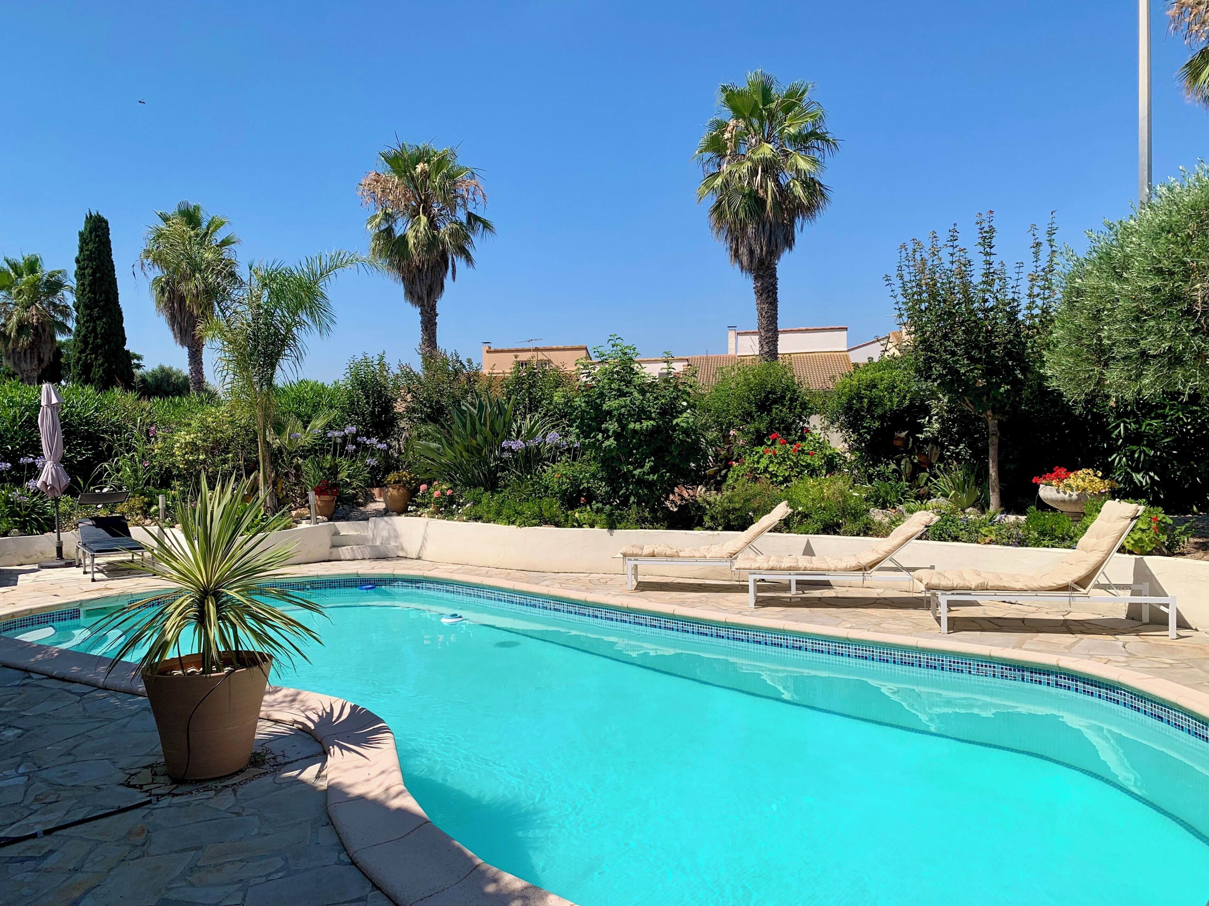 A swimming pool with lounge chairs, surrounded by palm trees and various plants.
