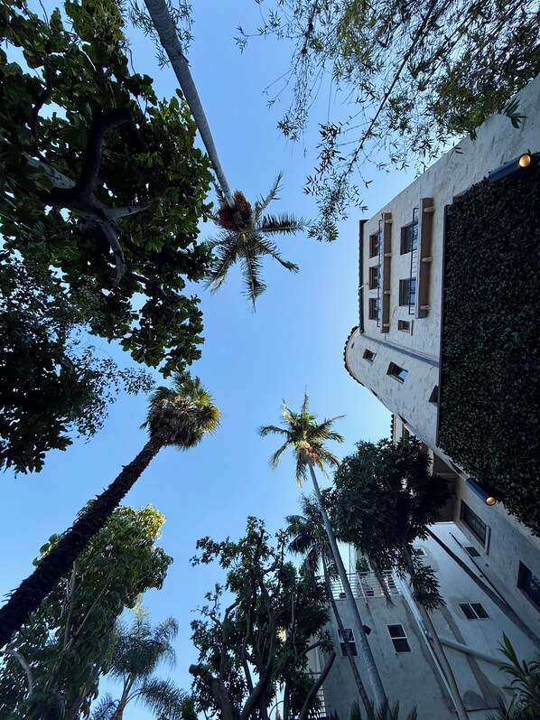 Enceinte de l’hébergement