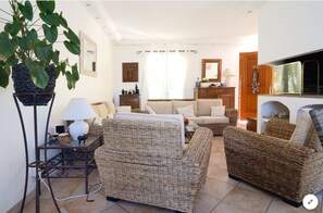 TV, fireplace, DVD player, books
