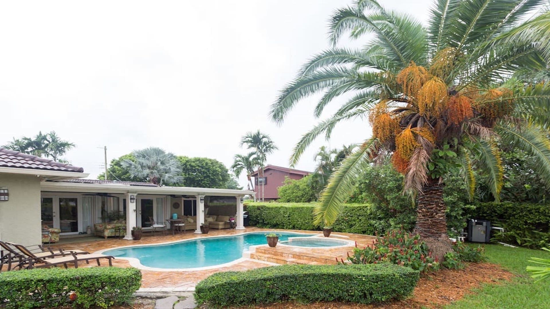 A residential property with a swimming pool, a covered patio, and a well-maintained garden with palm trees.