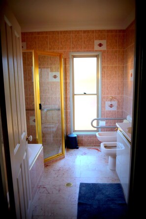 Combined shower/tub, hair dryer, towels, soap