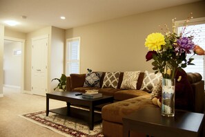 Televisión, chimenea, Netflix y servicios de streaming 