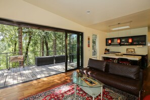 TV, DVD player, books, music library